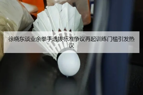 徐晓东谈业余拳手选拔标准争议再起训练门槛引发热议